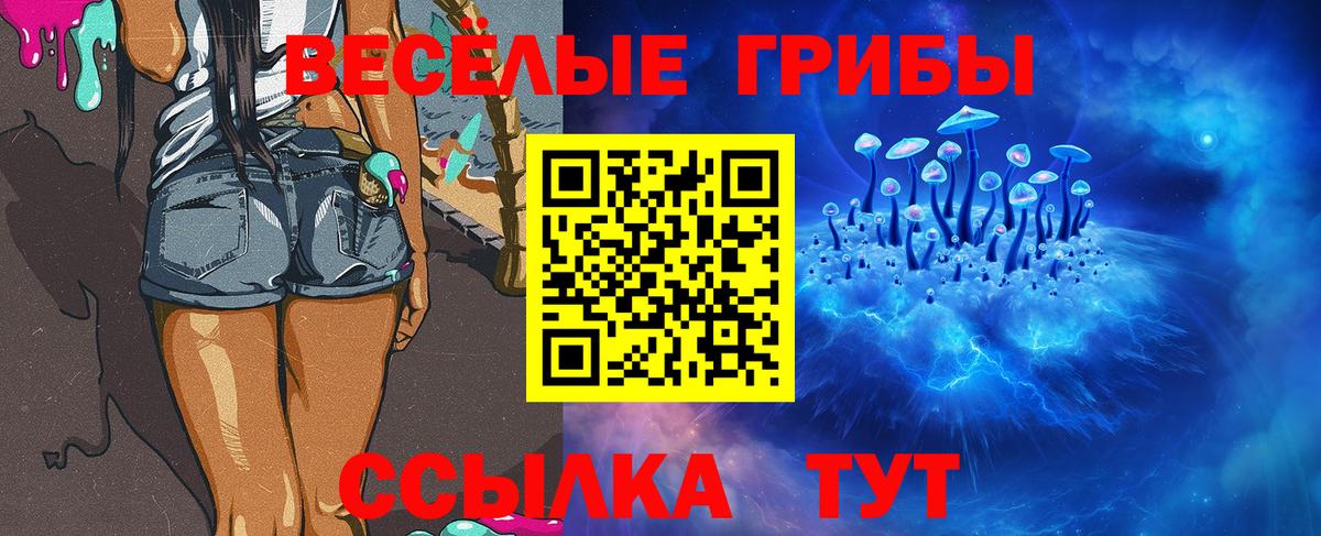 Псилоцибиновые грибы Psilocybe  Вход с VPN  Сафоново 