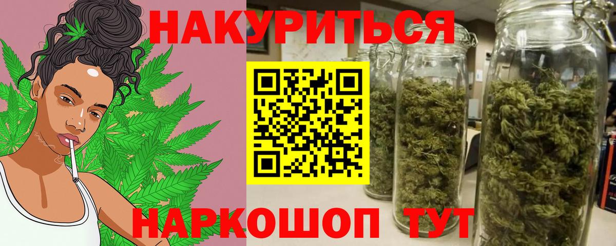 Конопля сатива Сафоново